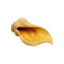 Przysmaki naturalne