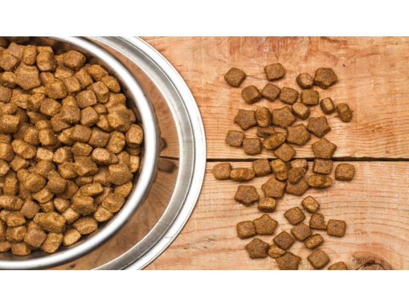 Karma LabraDog Superfood - 1.jpg