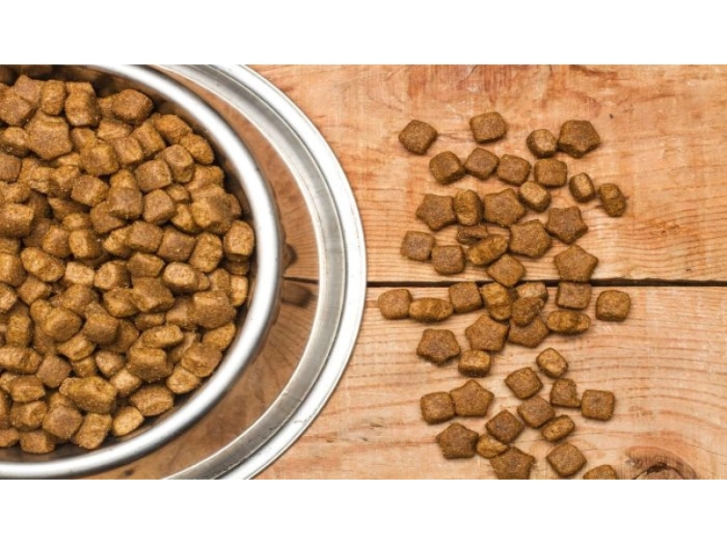 Karma LabraDog Superfood - 1.jpg
