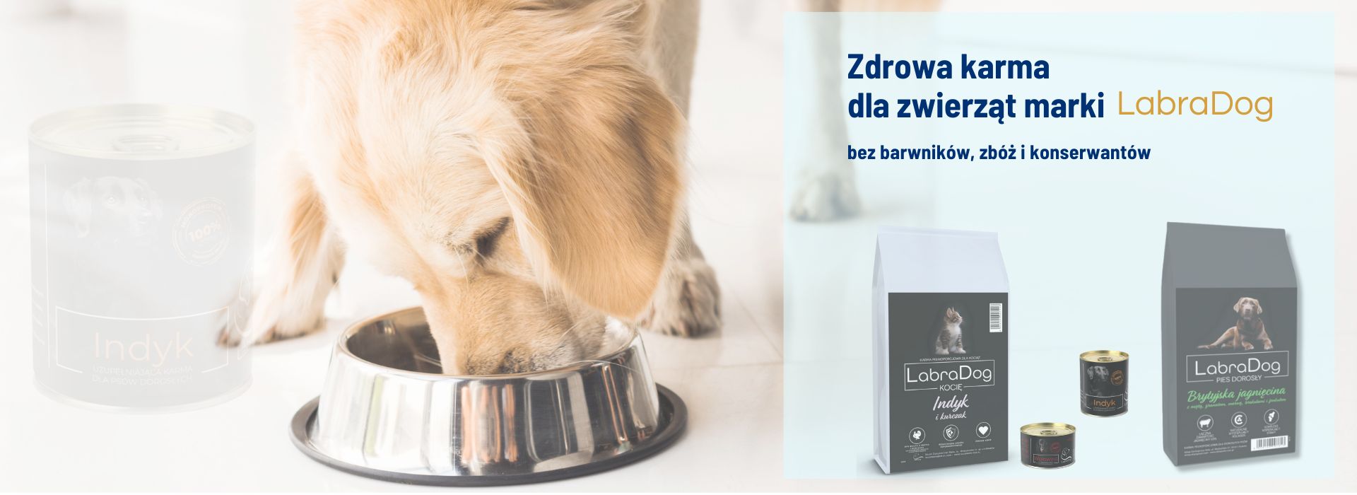 Sklep zoologiczny Kraków