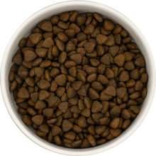 Karma sucha dla psa dorosłego rasy małej LIGHT LabraDog Superfood Premium Indyk z wolnego wybiegu z pietruszką, papają, pokrzywą, cukinią i dynią