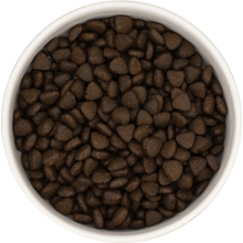 Karma sucha dla psa dorosłego rasy małej LabraDog Superfoo