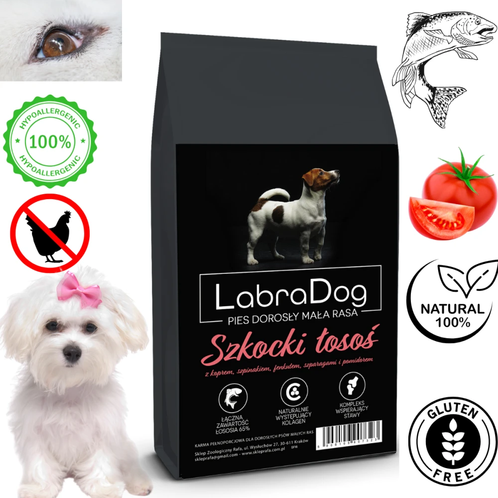 Karma sucha dla psa dorosłego rasy małej LabraDog Superfoo