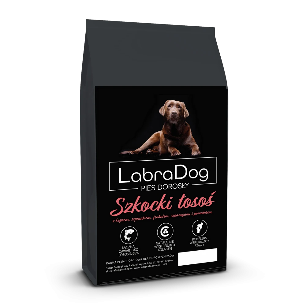 Karma sucha dla psa dorosłego rasy małej LabraDog Superfoo