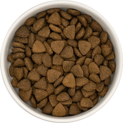 Karma sucha dla psa dorosłego rasy średniej SFN LabraDog Superfood Premium Wołowina Angus z marchewką, zieloną fasolką, kalafiorem, pomidorami i cukinią