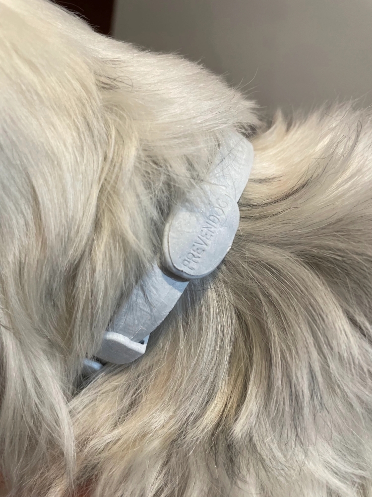 FRANCODEX PL Obroża na kleszcze PREVENDOG 35 cm dla psów do 5 kg - 1 szt