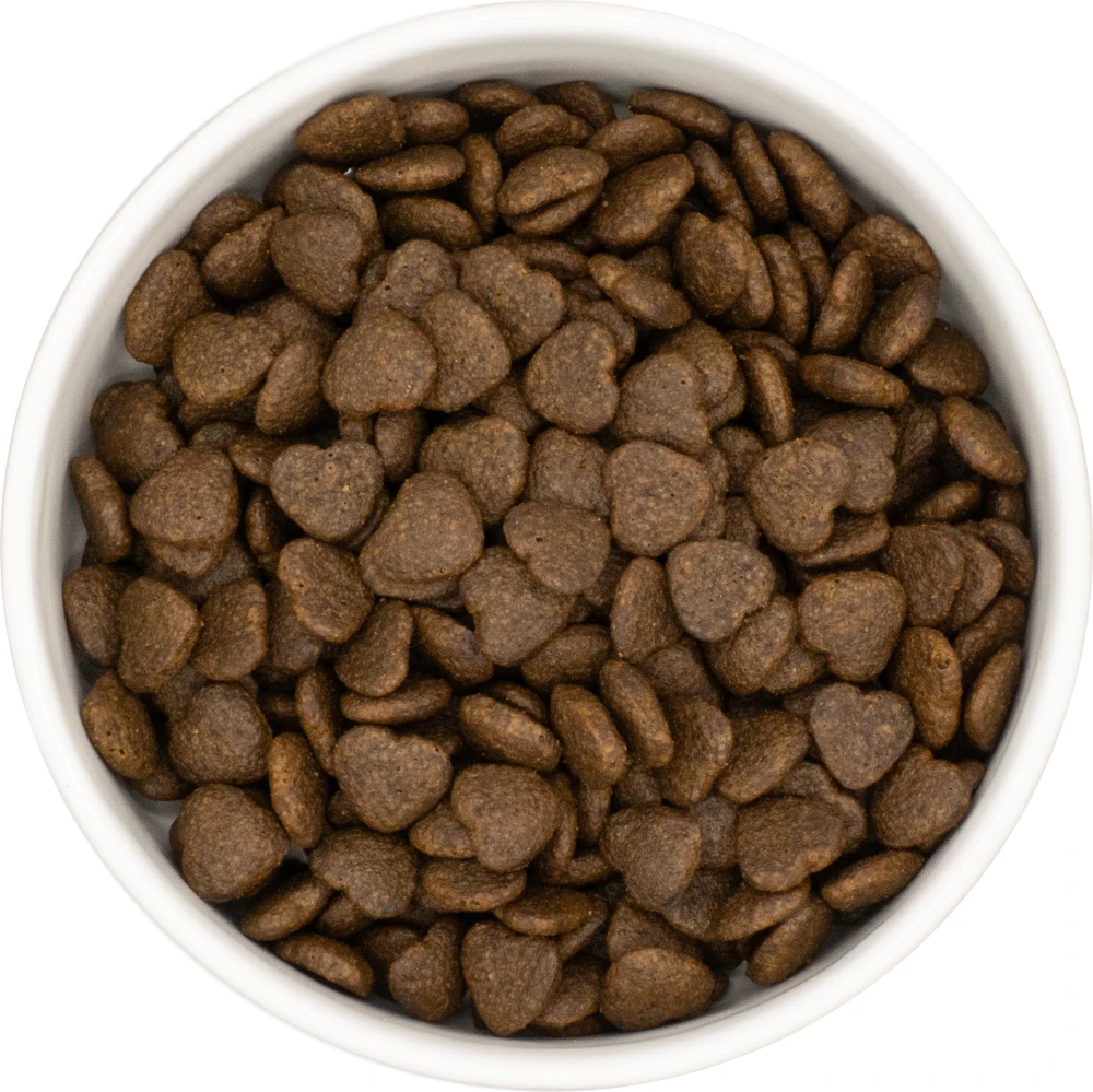 Karma sucha dla psa na każdym etapie życia LabraDog Superf