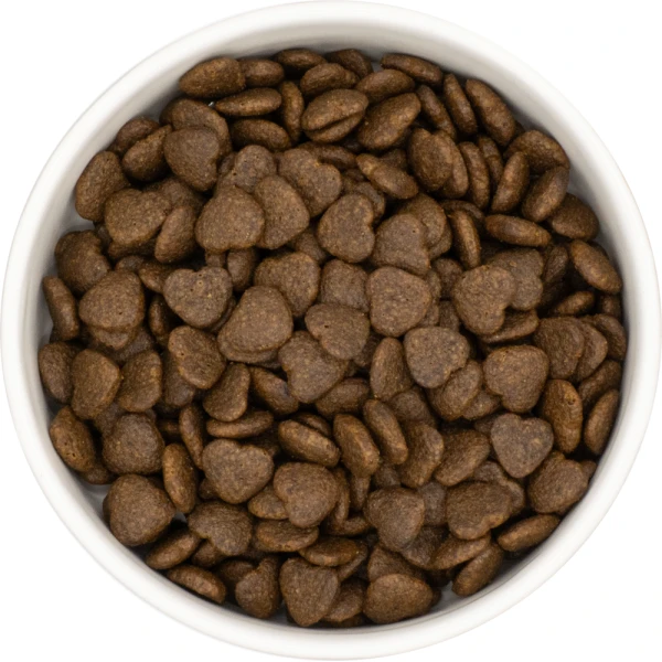 Karma sucha dla psa na każdym etapie życia LabraDog Superf