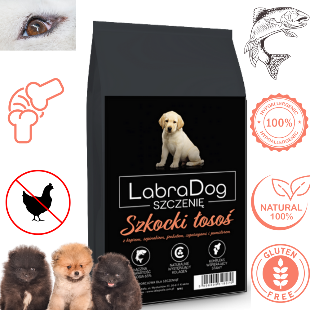 Karma sucha dla szczeniaka rasy małej LabraDog Superfood Sz