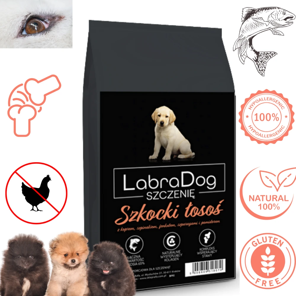 Karma sucha dla szczeniaka rasy małej LabraDog Superfood Sz