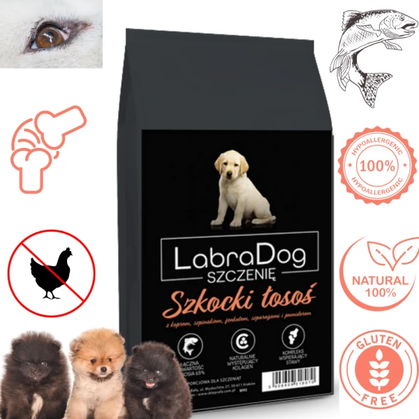 Karma sucha dla szczeniaka rasy małej LabraDog Superfood Sz