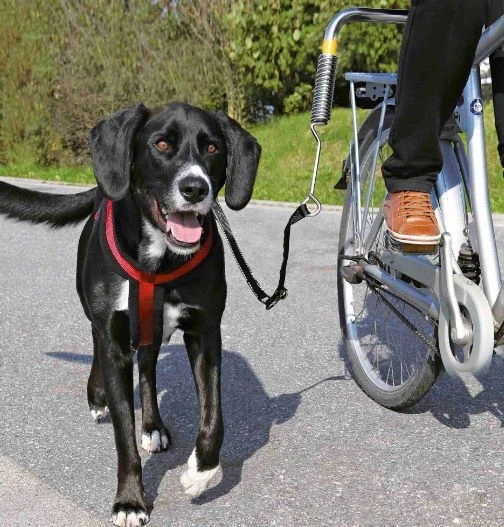 Trixie  Smycz Do Roweru - zestaw dla psa