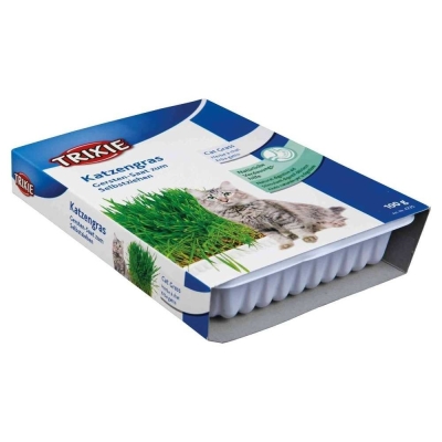 Trixie Kocia TRAWA w pojemniku 100g