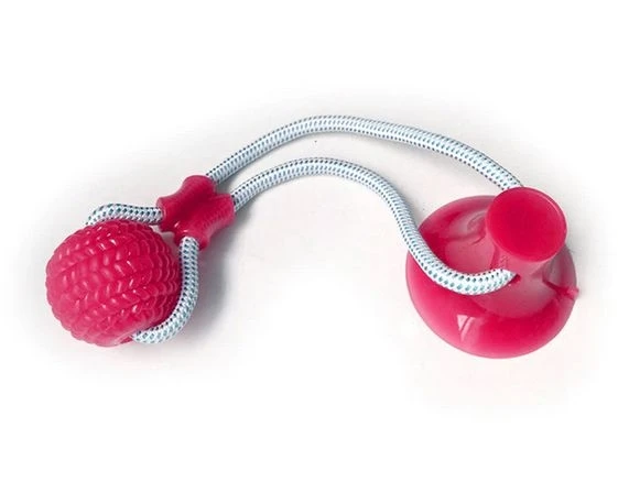 Interaktywna zabawka dla psa, z piłką, przyssawką, elasty