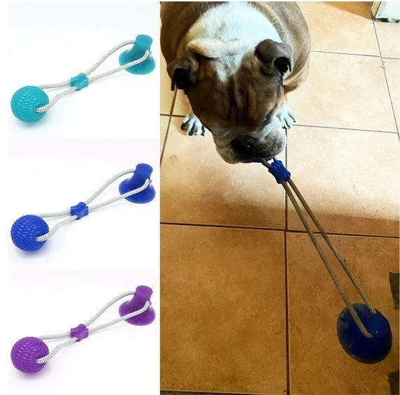 Interaktywna zabawka dla psa, z piłką, przyssawką, elasty