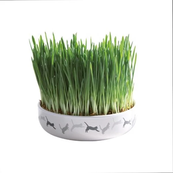 Trixie Miska dekorowana dla kota  250ML/15cmX4cm