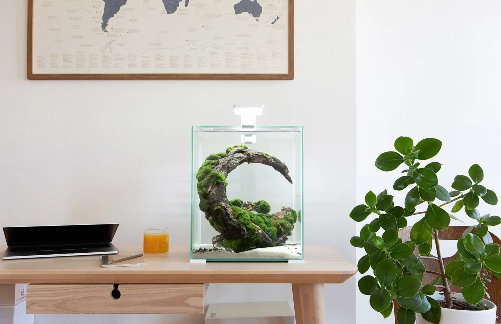 SHRIMP SET SMART D&N 30 BIAŁY