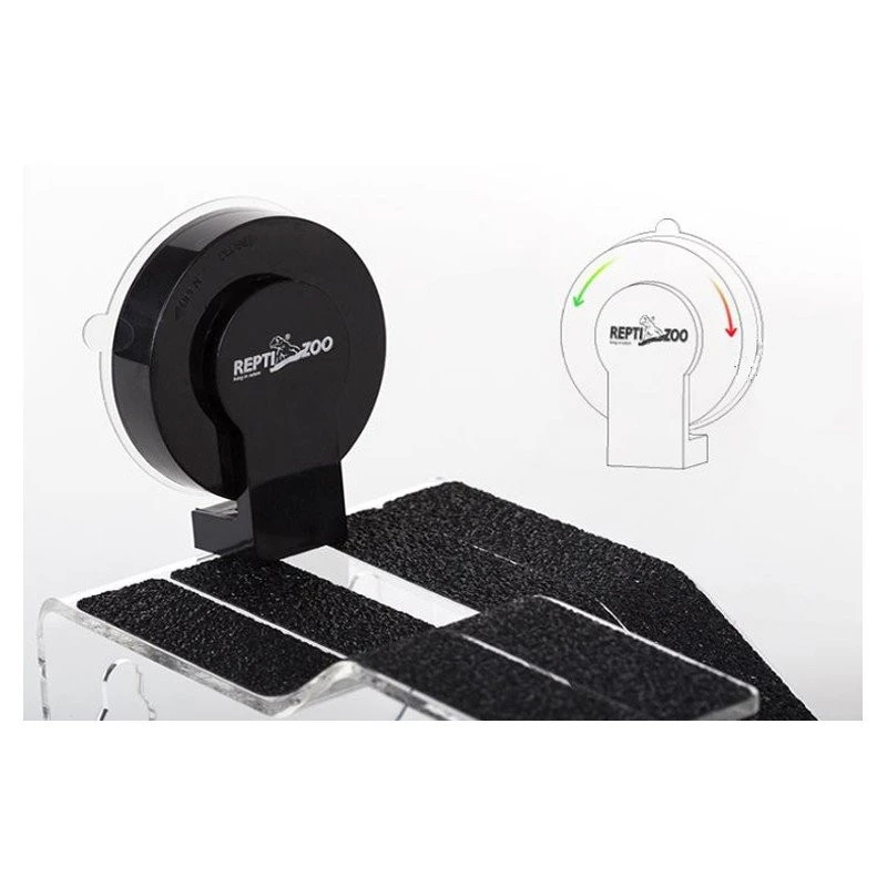 Wyspa dla żółwia wodno-lądowego S