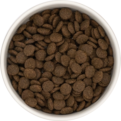 Karma sucha dla psa dorosłego LabraDog Superfood GFF jagnięcina z batatami i miętą rasa średnia