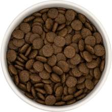 Karma sucha dla psa dorosłego rasy średniej  LabraDog Superfood UGF Wołowina Angus z batatami i marchewką
