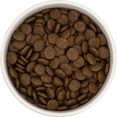Karma sucha dla psa dorosłego rasy średniej  LabraDog Superfood UGF Wołowina Angus z batatami i marchewką