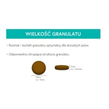 Karma sucha dla psa dorosłego rasy średniej  LabraDog Superfood UGF Wołowina Angus z batatami i marchewką