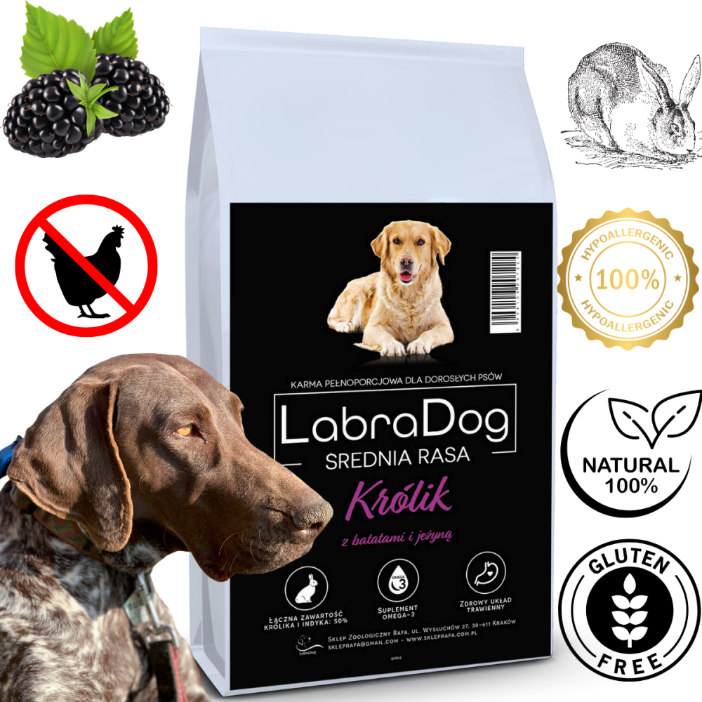 Karma sucha dla psa dorosłego rasy średniej LabraDog Superfood GFR Królik z batatami i jeżyną