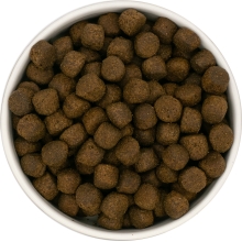 Karma sucha Junior dla szczeniąt ras dużych  LabraDog Superfood JGF  łosoś z batatami i warzywami