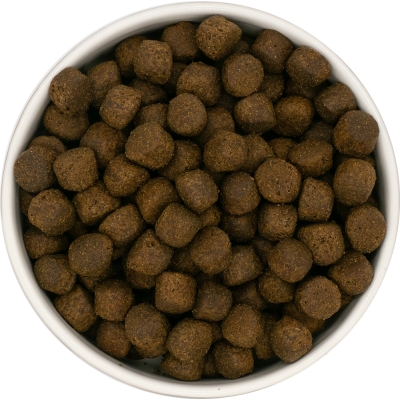 Karma sucha Junior dla szczeniąt ras dużych  LabraDog Superfood JGF  łosoś z batatami i warzywami