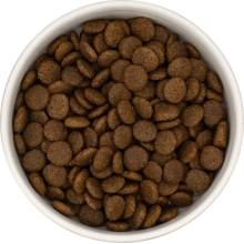 Karma sucha dla psa dorosłego rasy średniej LabraDog Superfood GFJ  Kaczka z batatami i pomarańczami