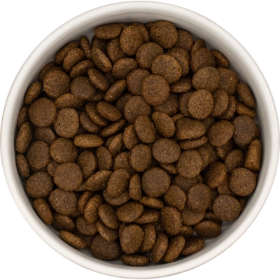 Karma sucha dla psa dorosłego rasy średniej LabraDog Superfood GFJ  Kaczka z batatami i pomarańczami