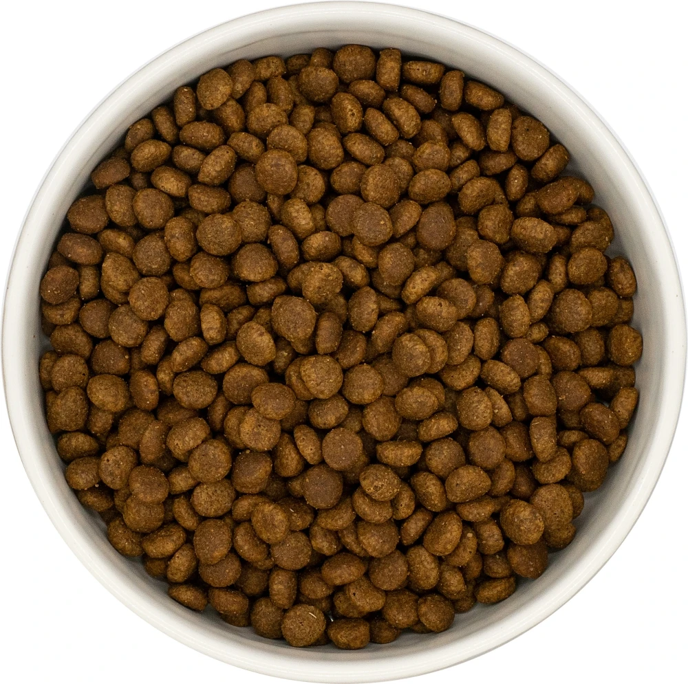 NoblePure Cat karma sucha dla kociąt Indyk z kurczakiem bez