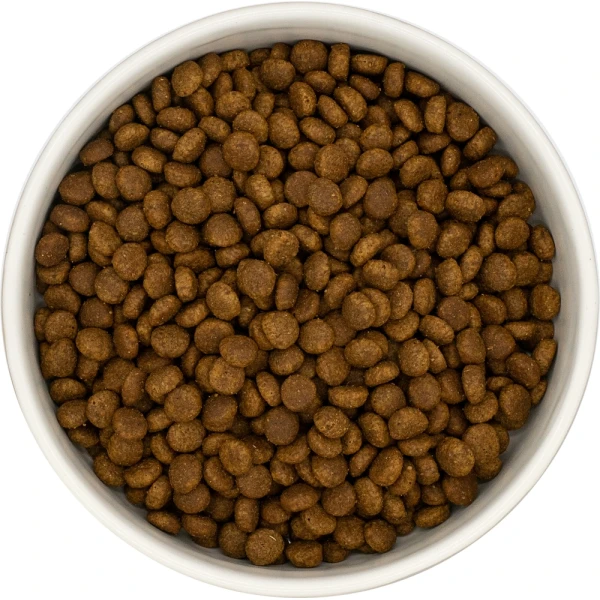 NoblePure Cat karma sucha dla kociąt Indyk z kurczakiem bez