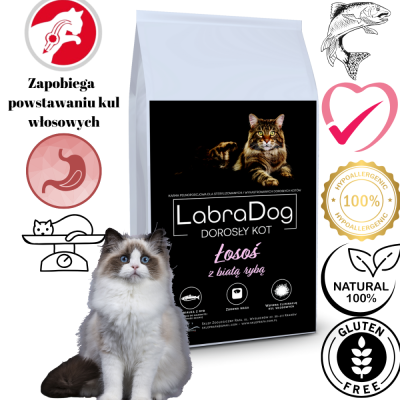 Karma sucha dla kota dorosłego po sterylizacji  Łosoś z białą rybą
