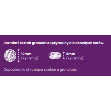 Karma sucha dla kota dorosłego po sterylizacji  Łosoś z białą rybą