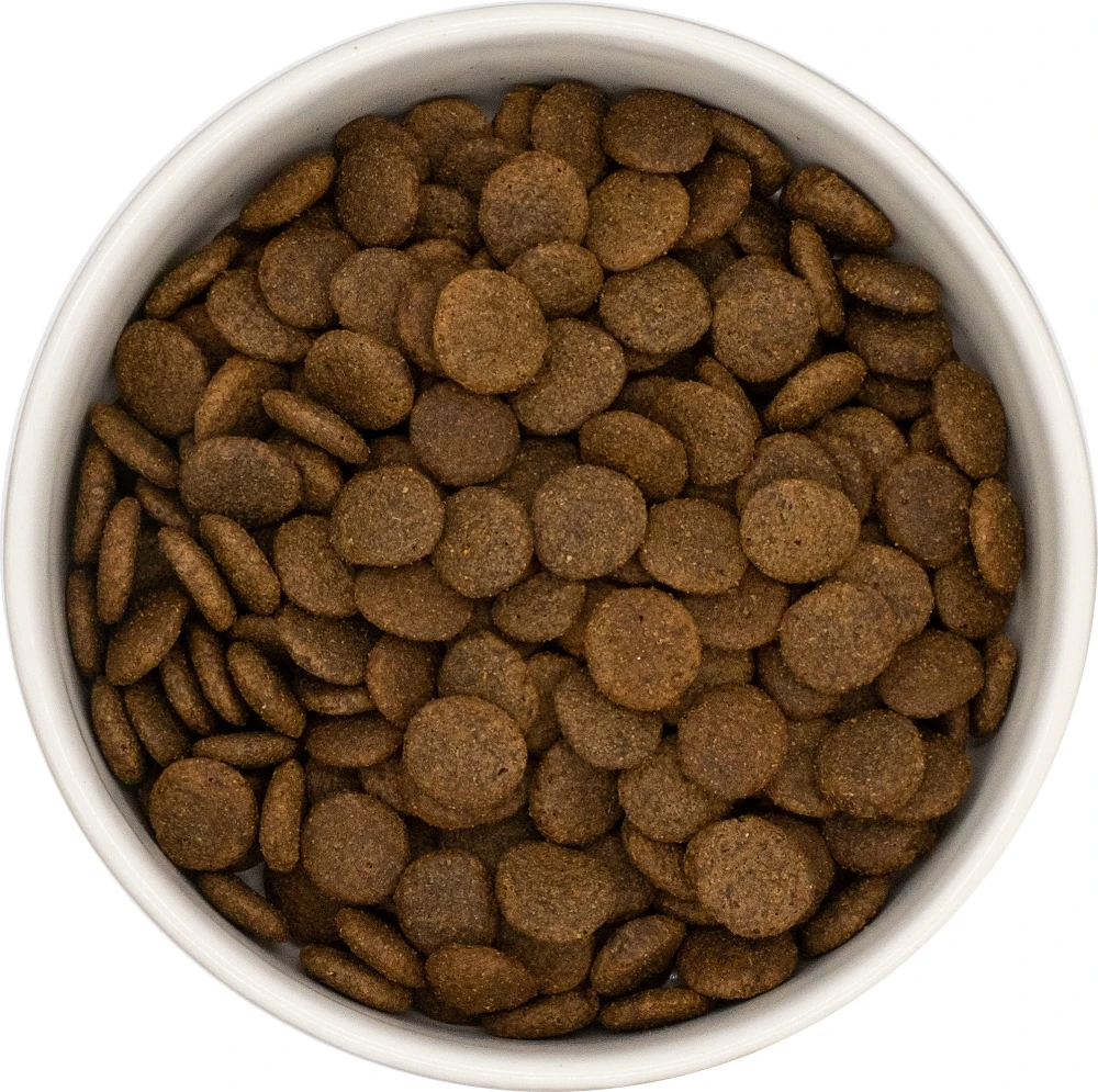 Karma sucha dla psa dorosłego LabraDog Superfood Dziczyzna