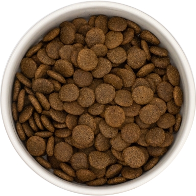 Karma sucha dla psa dorosłego LabraDog Superfood VGF Dziczyzna z  Jelenia z  batatami i morwą rasa średnia