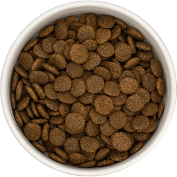 Karma sucha dla psa dorosłego LabraDog Superfood Dziczyzna
