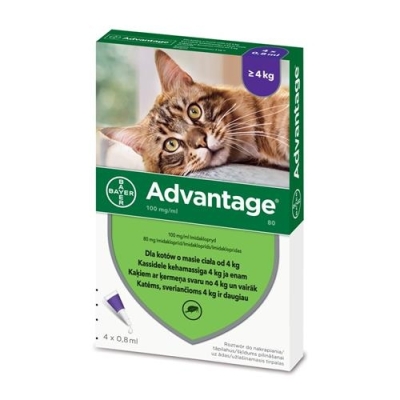 Advantage Kot - Krople przeciw kleszczą i pasożytom powyżej 4kg 0,8ml x 1szt