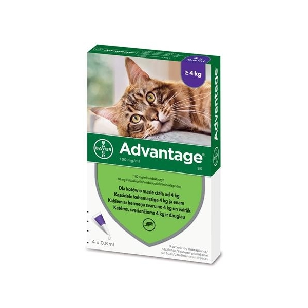 Advantage Kot - Krople przeciw kleszczą i pasożytom powyż