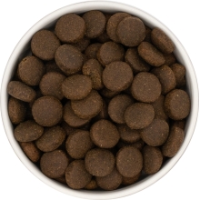 Karma sucha dla psa dorosłego LabraDog Superfood GFZ Indyk 