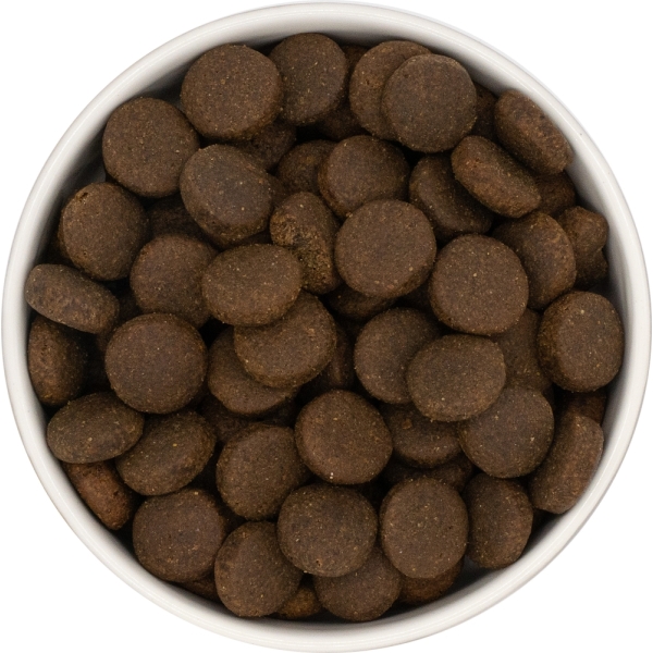 Karma sucha dla psa dorosłego LabraDog Superfood GFZ Indyk 
