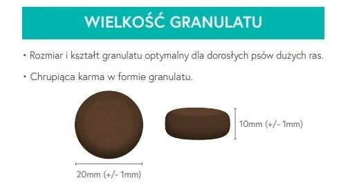 Karma sucha dla psa dorosłego LabraDog Superfood GFZ Indyk 