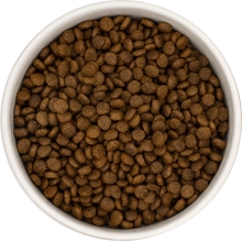 Karma sucha dla psa dorosłego LabraDog Superfood DGF Kaczka z batatami i pomarańczą mała rasa