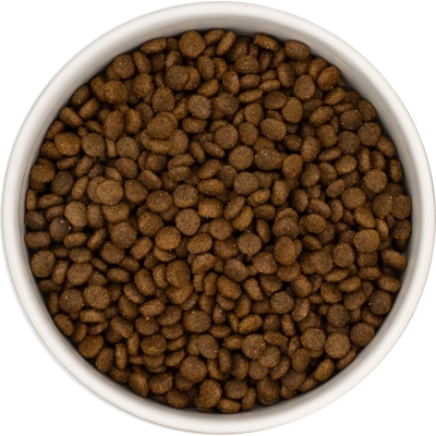 Karma sucha dla psa dorosłego LabraDog Superfood DGF Kaczka z batatami i pomarańczą mała rasa