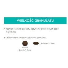 Karma sucha dla psa dorosłego LabraDog Superfood DGF Kaczka z batatami i pomarańczą mała rasa