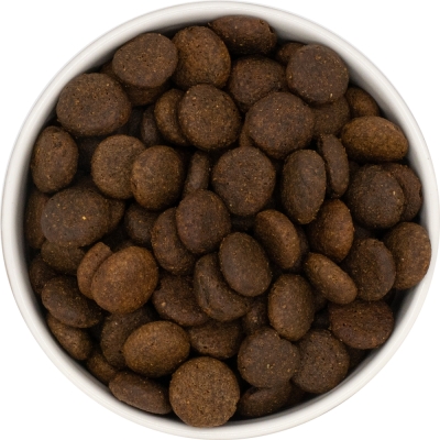 Karma sucha dla psa dorosłego rasy dużej LabraDog Superfood JGS Łosoś z pstrągiem, batatami i szparagami