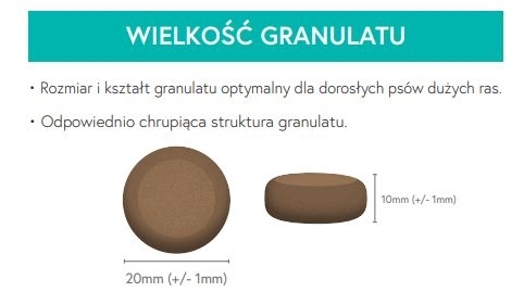 Karma sucha dla psa dorosłego rasy dużej LabraDog Superfood JGS Łosoś z pstrągiem, batatami i szparagami