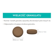 Karma sucha dla psa dorosłego rasy dużej LabraDog Superfood JGS Łosoś z pstrągiem, batatami i szparagami