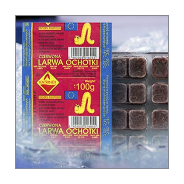 Czerwona larwa ochotki